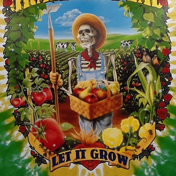 COPY - Grateful Dead Blank Greeting Card Let It Grow Liquid Blue 1997 GDM Disco… - Picture 5 of 9